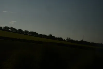 DSC_7184 (Large).JPG